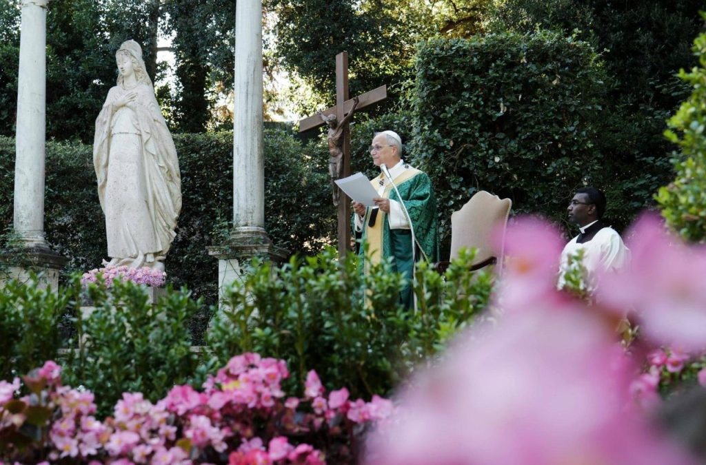教宗接見農業和森林學家：保護大地是愛的行為